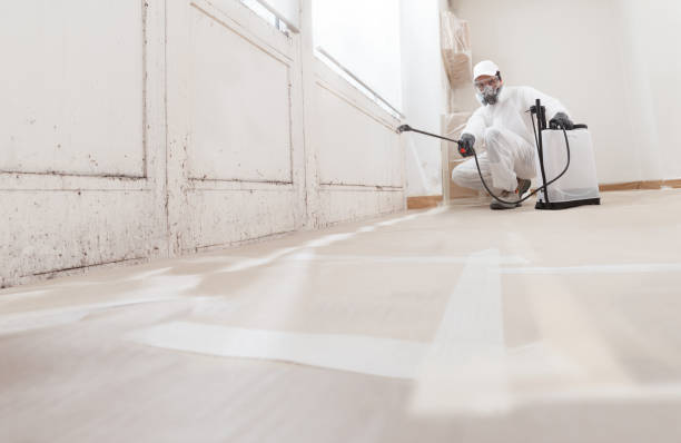 24/7 Emergency Mold Remediation experts in Church View, VA